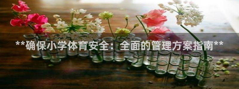 必一体育下载移动版：