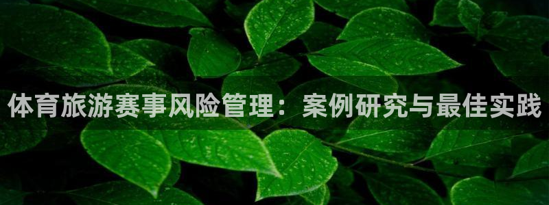 必一体育最新官网入口首页