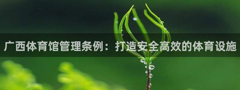 必一体育官网网站：广西体育馆管理条例：打造安全高效的体育设施